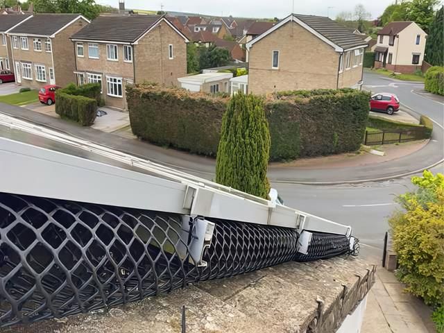 Solar Panel Bird Proofing Services Hull